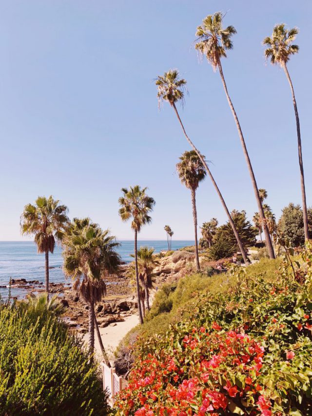 Instagrammable Things to Do in Laguna Beach