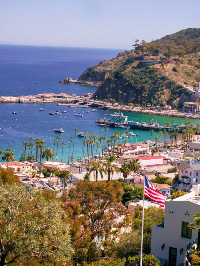Things to Do on Catalina Island