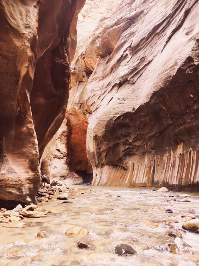 The Narrows Hike in Zion National Park: A Complete Guide